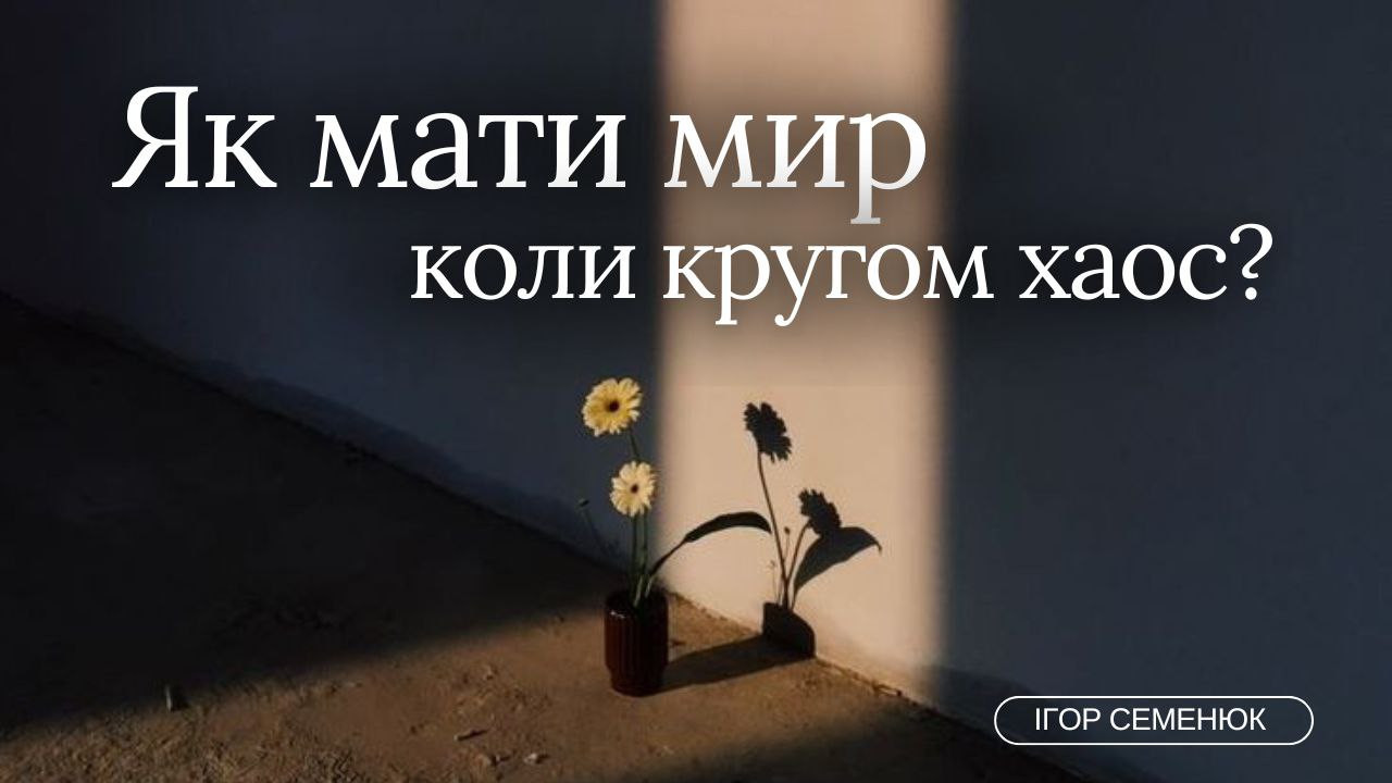 20241022-103829photo_2024-10-22_13-28-14